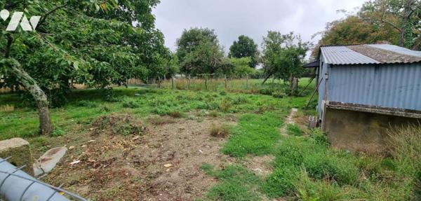 CUILLE - Centre ville - Maison de caractère avec dépendances et terrain