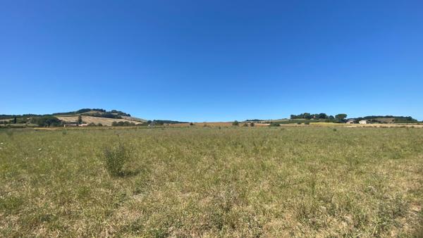 Gaillac - Terrain de 4 hectares