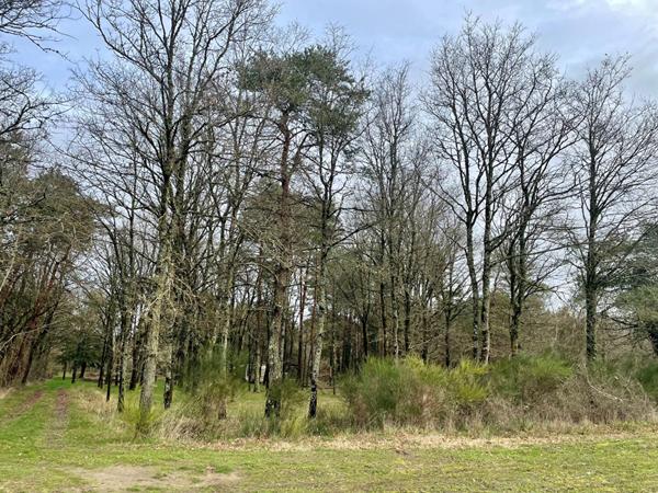 TERRAIN DE LOISIRS A VENDRE VILLEFRANCHE SUR CHER