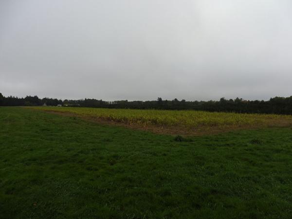 SOLOGNE - Propriété de chasse à vendre