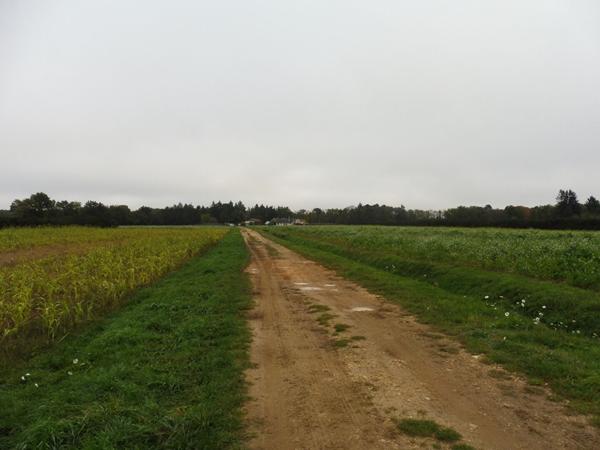 SOLOGNE - Propriété de chasse à vendre