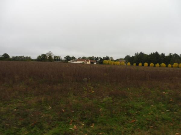 SOLOGNE - Propriété de chasse à vendre