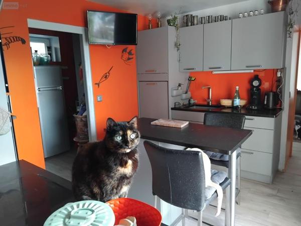 Maison à vendre à Tresson dans la Sarthe (72440), ref : 13816/1109   
CAMPAGNE