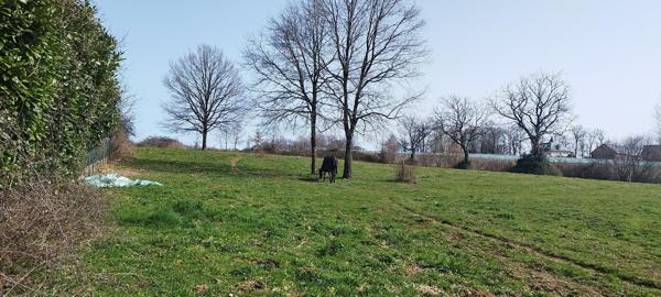 Terrain * 19230 St Sornin Lavolps * 50 500  €