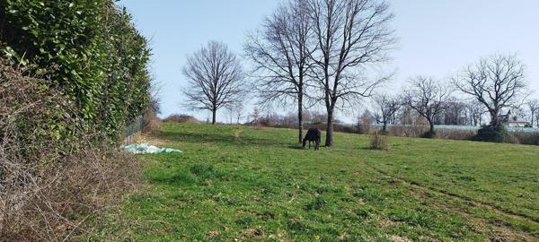 Terrain * 19230 St Sornin Lavolps * 50 500  €
