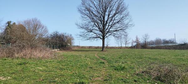 Terrain * 19230 St Sornin Lavolps * 50 500  €