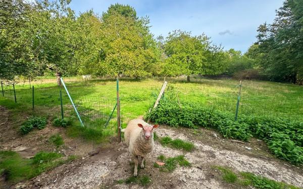 Maison à vendre    5 pièces • 184 m2 La Couyère