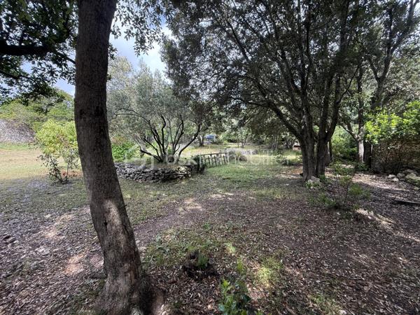 Baisse de prix importante
Charmante bergerie avec 2 chambres , de plain pied avec un grand salon sejour cuisine ouverte, 
cheminée, une piscine sur plus de 2400m 2 de terrain.
Disponible pour davantage d informations au 0660998949