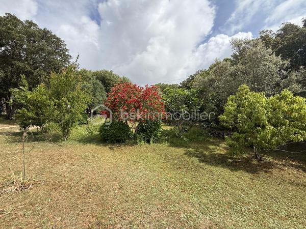 Baisse de prix importante
Charmante bergerie avec 2 chambres , de plain pied avec un grand salon sejour cuisine ouverte, 
cheminée, une piscine sur plus de 2400m 2 de terrain.
Disponible pour davantage d informations au 0660998949