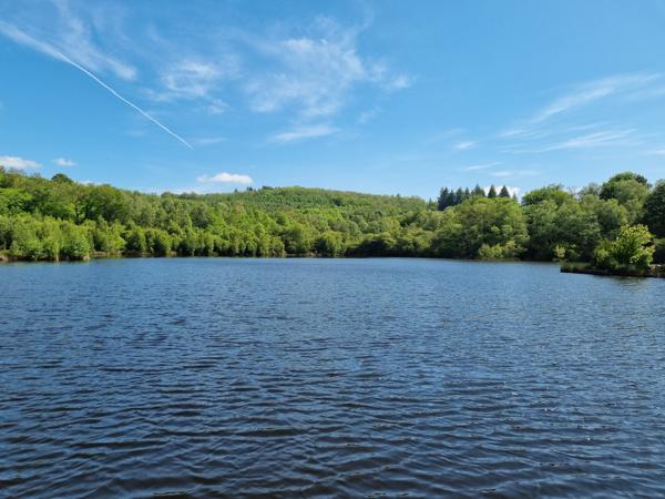 Lacs à vendre à Montrol-Sénard (87330) - Haute-Vienne