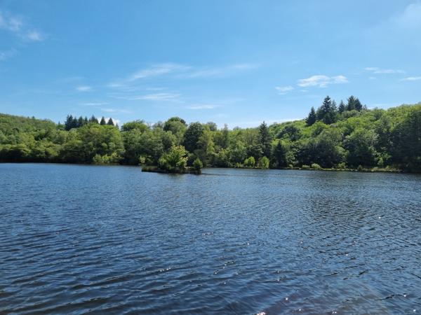 Lacs à vendre à Montrol-Sénard (87330) - Haute-Vienne