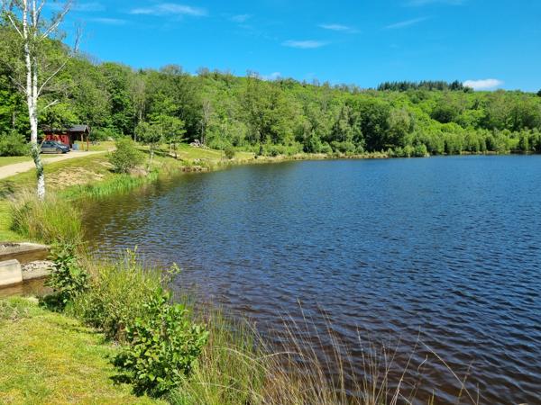 Lacs à vendre à Montrol-Sénard (87330) - Haute-Vienne