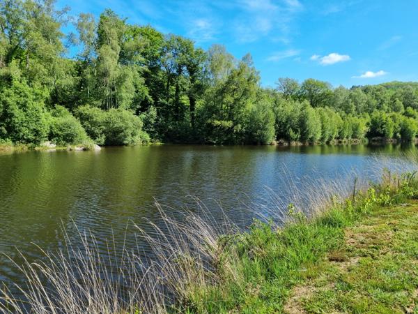 Lacs à vendre à Montrol-Sénard (87330) - Haute-Vienne