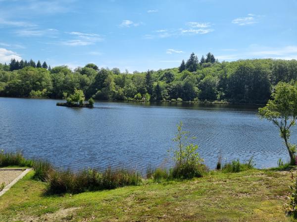Lacs à vendre à Montrol-Sénard (87330) - Haute-Vienne