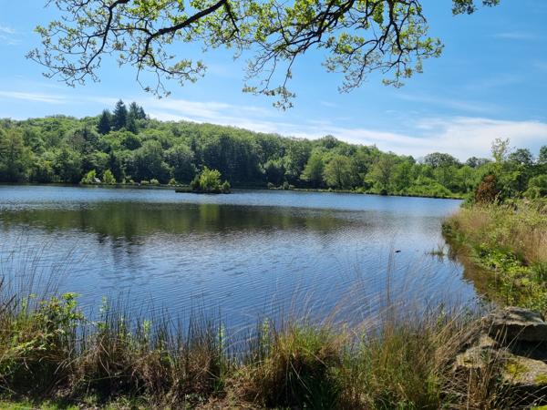 Lacs à vendre à Montrol-Sénard (87330) - Haute-Vienne