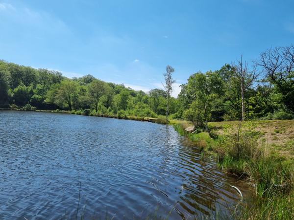 Lacs à vendre à Montrol-Sénard (87330) - Haute-Vienne