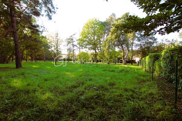 Terrain de 1 286 m²