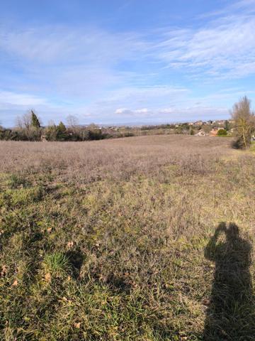 Terrain 10343 m²   81400  BLAYE-LES-MINES