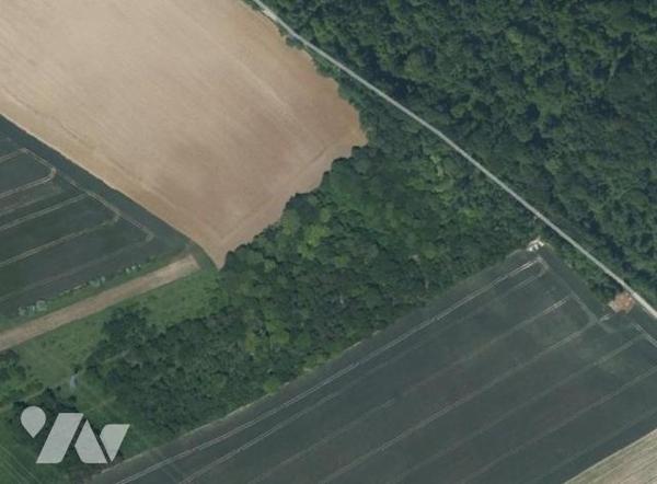 A VENDRE PARCELLES DE BOIS ET LANDES A BELLOY SUR SOMME (80)