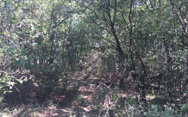 Terrain à vendre    Labastide-de-Virac