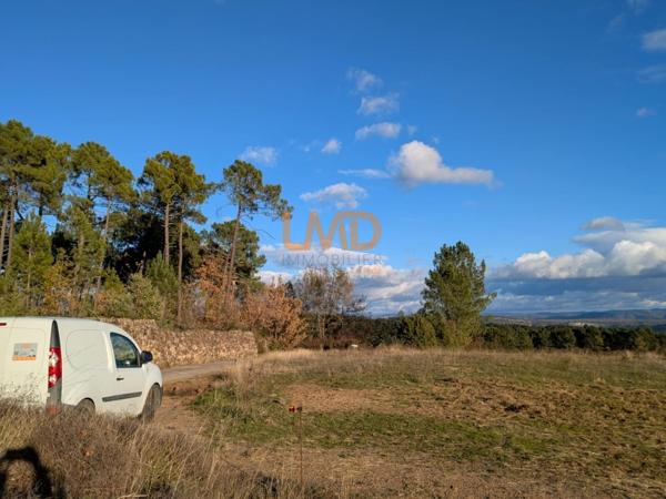 Terres Agricole, Bois