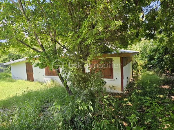EXCLUSIVITE BSK IMMOBILIER- SAINT-FRANÇOIS – RÉSIDENCE KARUKERA.

Maison à rénover avec permis accepté – À deux pas de la mer.

BIEN RARE À LA VENTE | FORT POTENTIEL | EMPLACEMENT D’EXCEPTION

Au cœur de la très prisée résidence Karukera, à Saint-François, sur la route emblématique de la Pointe des Châteaux, découvrez cette maison individuelle à rénover, idéalement située à seulement 5 minutes du centre de Saint-François et à proximité immédiate de la mer, accessible à pied.

Un emplacement privilégié pour les amoureux de la Guadeloupe, à la recherche d’un pied-à-terre, d’une résidence principale ou d’un investissement à fort potentiel.

Une maison à réinventer selon vos envies.

Édifiée sur une belle parcelle de 604 m², cette maison non mitoyenne de 81 m2 en surface utile ( 35.22 m2 en loi carrez) offre une base idéale pour un projet de rénovation et de valorisation.

Elle se compose actuellement de :

- Un séjour de 16 m2,
- Une chambre spacieuse de 11.80 m2 avec placards,
- Une cuisine donnant sur une terrasse de 19 m2,
- Une salle d’eau avec WC,
- Un grand garage de 24,70 m².

Un projet déjà autorisé pour concrétiser vos envies.

Un permis d’extension et de modification de l’existant a été accepté pour la réalisation d’un très joli projet de maison contemporaine de type 3, comprenant deux chambres, un séjour, une grande cuisine, deux salles d’eau, un espace détente et un bac à punch de 5 x 2 mètres avec son deck.

Un véritable atout pour vous projeter sereinement dans votre futur lieu de vie ou votre investissement.

Le permis accordé pourra naturellement être modifié selon vos envies, vos besoins et votre vision du projet.

Les atouts :

✅ Résidence Karukera, secteur très recherché de Saint-François.

✅ À 5 minutes du centre-ville.

✅ Mer accessible à pied.

✅ Maison non mitoyenne.

✅ Parcelle de 604 m².

✅ Permis de construire accepté pour un projet de maison avec 2 chambres et bac à punch.

✅ Un potentiel exceptionnel dans un secteur recherché.

Une opportunité rare pour créer votre maison idéale dans un cadre privilégié, entre mer, tranquillité et douceur de vivre.

📍 Saint-François – Résidence Karukera, route de la Pointe des Châteaux.

📞 Pour plus d’informations ou organiser une visite, contactez moi.
Plan du projet, photos supplémentaires et vidéos sont disponibles sur demande.