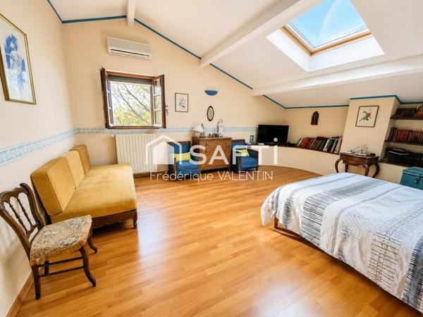 ROUFFIAC-TOLOSAN-Toulousaine 256 m² jardin et piscine