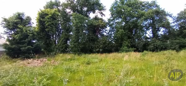 Vente terrain Lege Cap Ferret : 199 900 € - AJP Immobilier Lège-Cap-Ferret
