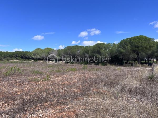 Terrain de 16 125 m²