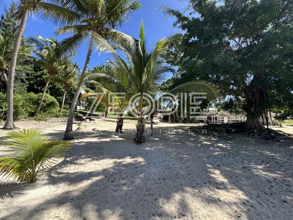 Exclusivité ZEOPIE Immobilier : Studio meublé Anse des Rochers à SAINT-FRANCOIS.