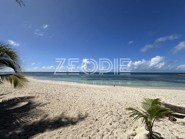 Exclusivité ZEOPIE Immobilier : Studio meublé Anse des Rochers à SAINT-FRANCOIS.