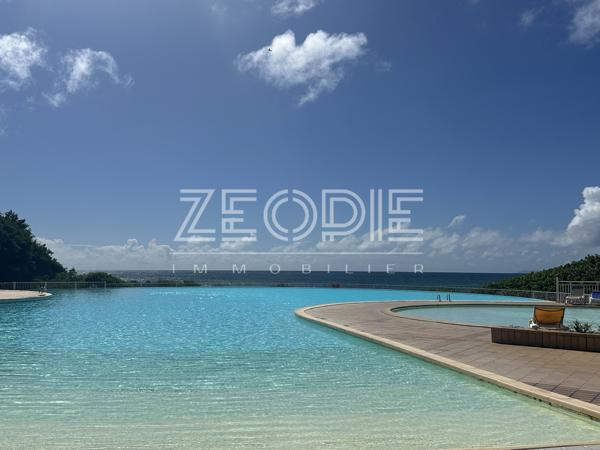 Exclusivité ZEOPIE Immobilier : Studio meublé Anse des Rochers à SAINT-FRANCOIS.