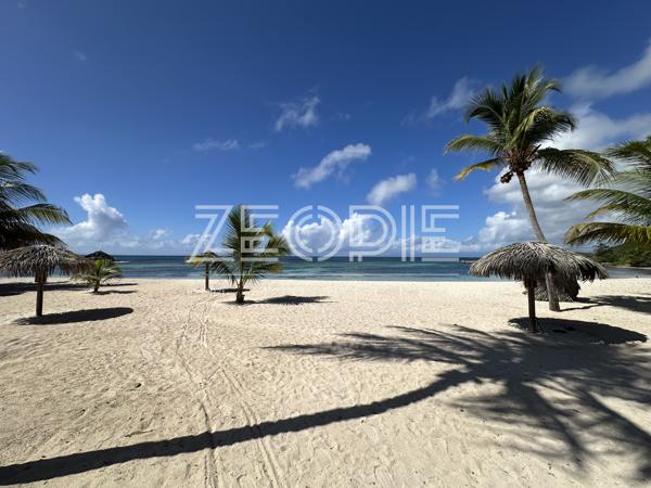 Exclusivité ZEOPIE Immobilier : Studio meublé Anse des Rochers à SAINT-FRANCOIS.