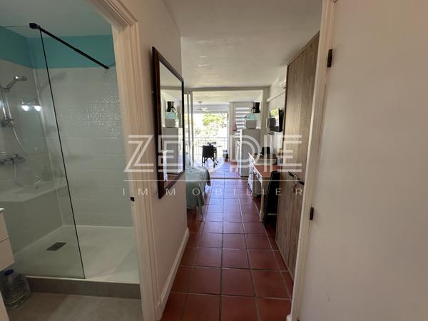 Exclusivité ZEOPIE Immobilier : Studio meublé Anse des Rochers à SAINT-FRANCOIS.
