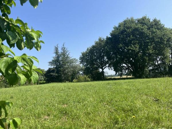 Terrain à vendre |  Marseillan |  2074 m²