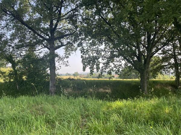 Terrain à vendre |  Marseillan |  2074 m²
