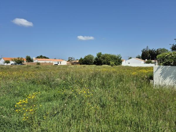 Vente / Terrain constructeur