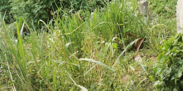 Dpt Martinique (972), à vendre FORT DE FRANCE - Terrain de 508 m2 - 40000 €