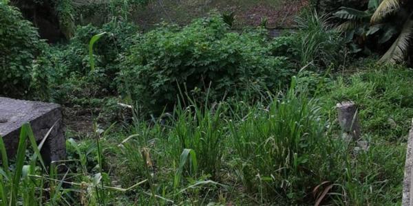 Dpt Martinique (972), à vendre FORT DE FRANCE - Terrain de 508 m2 - 40000 €