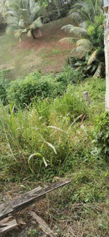 Dpt Martinique (972), à vendre FORT DE FRANCE - Terrain de 508 m2 - 40000 €
