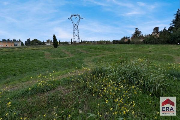 Terrain Pierrelatte 4650 m2