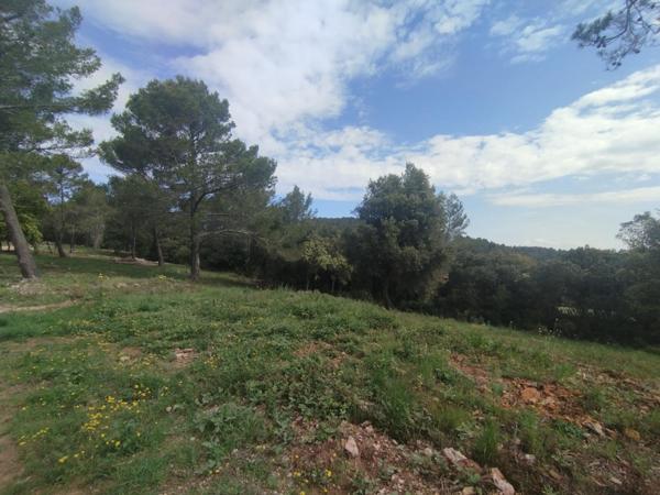 Terrain naturel de 15970m2