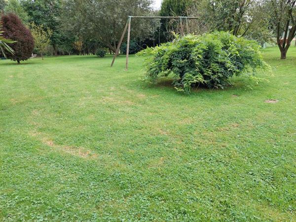 Maison beaux volumes proche YVETOT 7 pièce(s) 234 m2