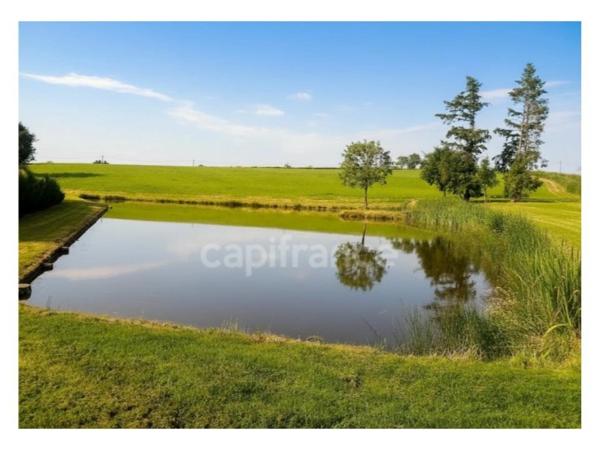 Etang : un coin de paradis rien qu’à vous…