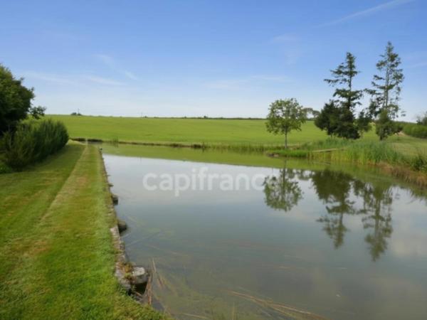 Etang : un coin de paradis rien qu’à vous…