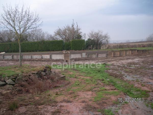 Etang : un coin de paradis rien qu’à vous…
