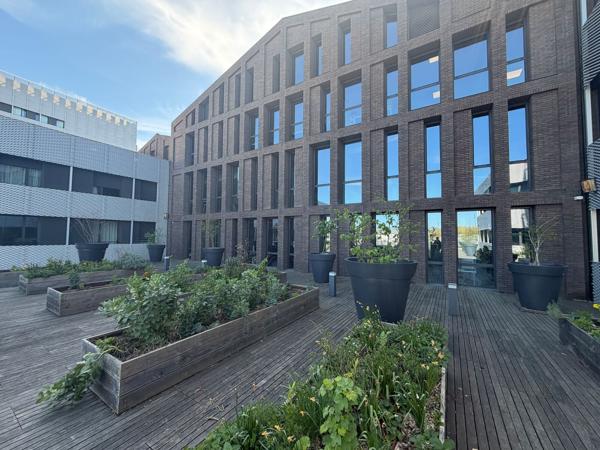 Bureaux neufs à louer à Bordeaux avec terrasse partagée végétalisée