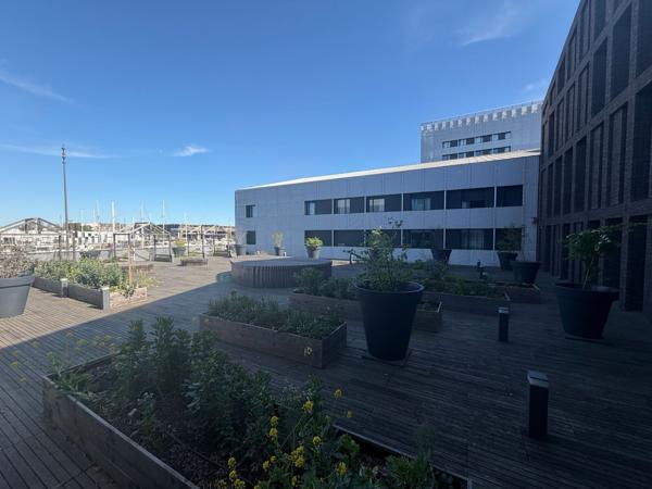 Bureaux neufs à louer à Bordeaux avec terrasse partagée végétalisée