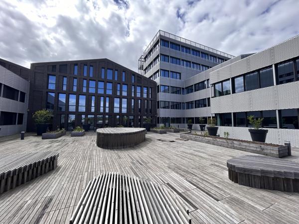 Bureaux neufs à louer à Bordeaux avec terrasse partagée végétalisée