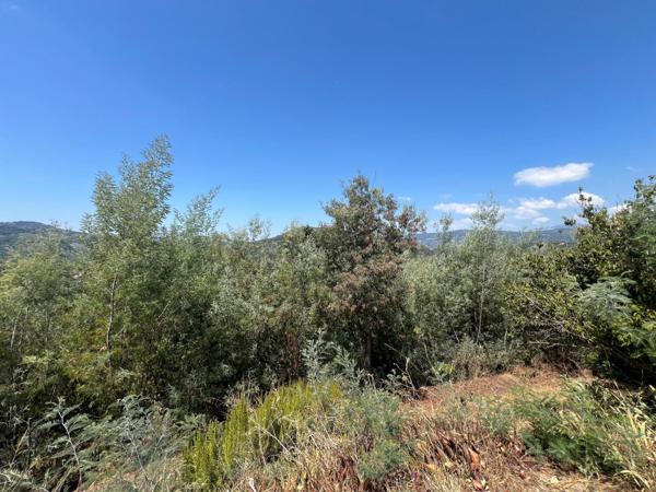 Auribeau-Sur-Siagne : Terrain non constructible Zone N